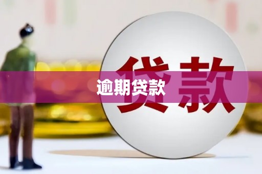 溧水逾期贷款