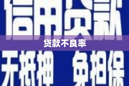 溧水贷款不良率